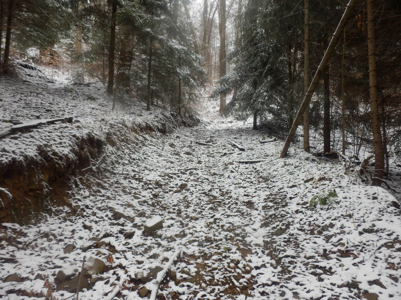 The mysterious track in 10 m distance