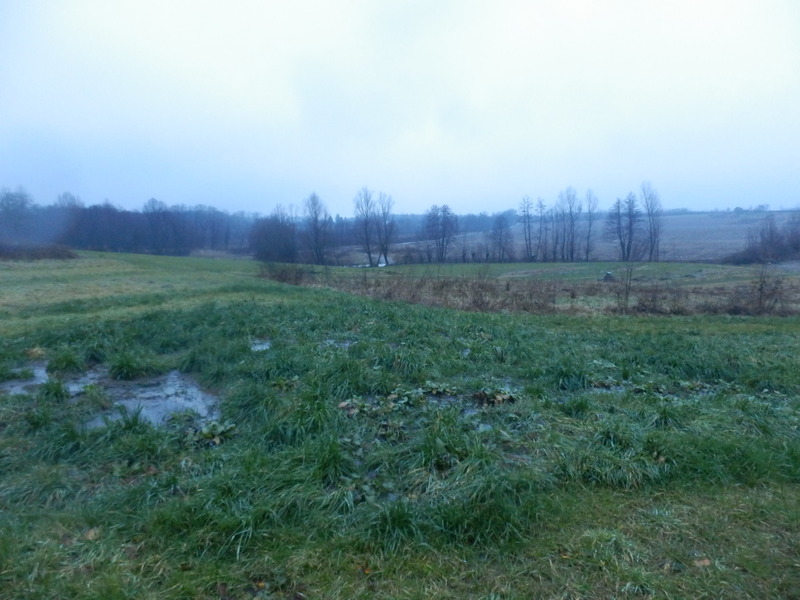 View to the North