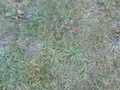 #7: Ground Zero
