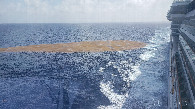 #2: Sargassum spotted at the position of Confluence