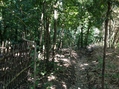 #2: North