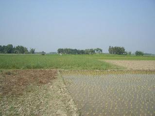 #1: Looking North towards the confluence