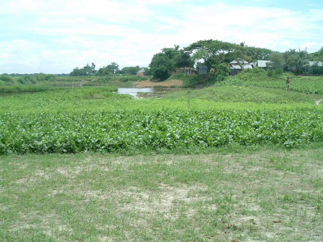 SOUTH from the confluence point