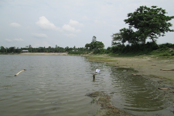 General Picture of the Confluence