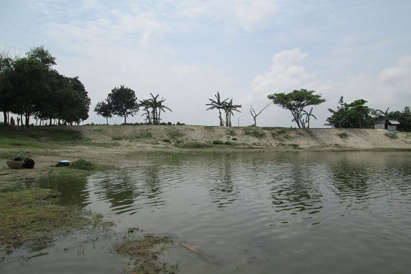 Looking East from the confluence