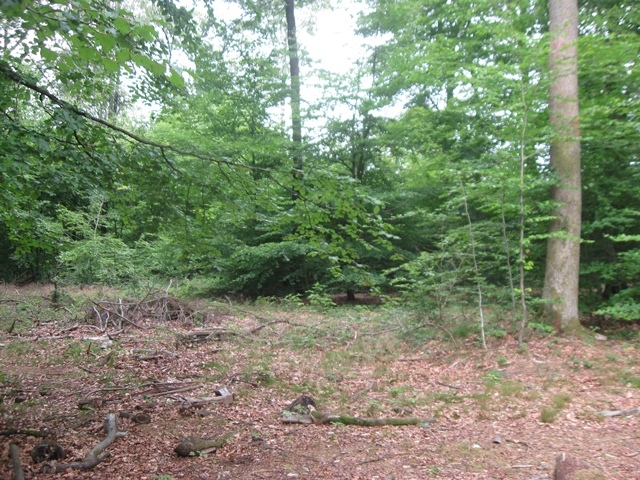 View to the North