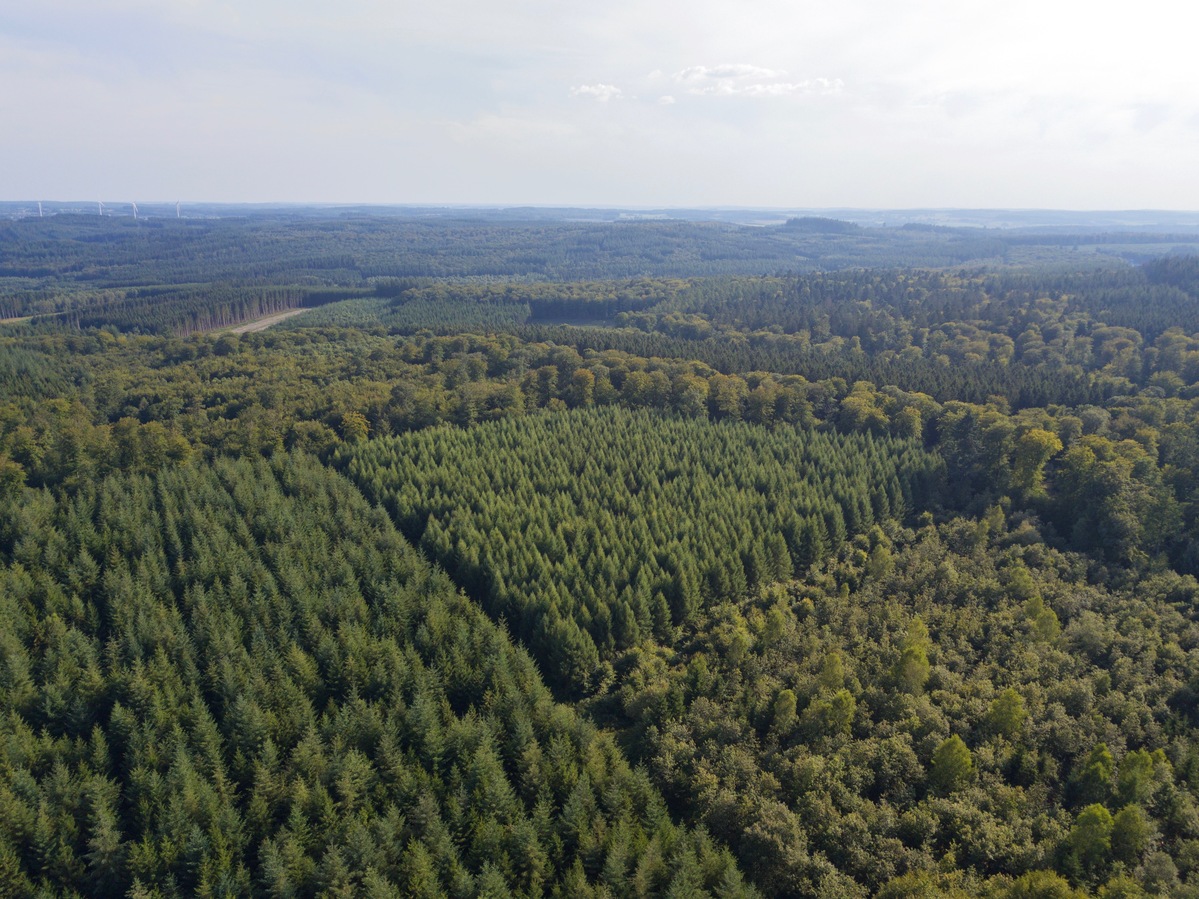 View South, from 90m above the point