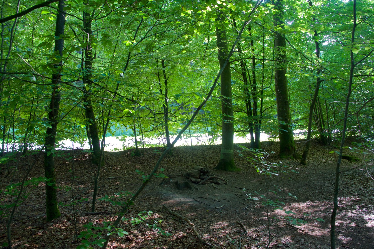 View South (towards the nearby road)