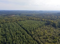 #10: View South, from 90m above the point