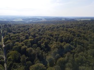 #11: View West, from 90m above the point