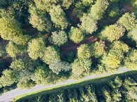 #7: Looking down on the point from 90m above