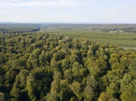 #8: View North, from 90m above the point