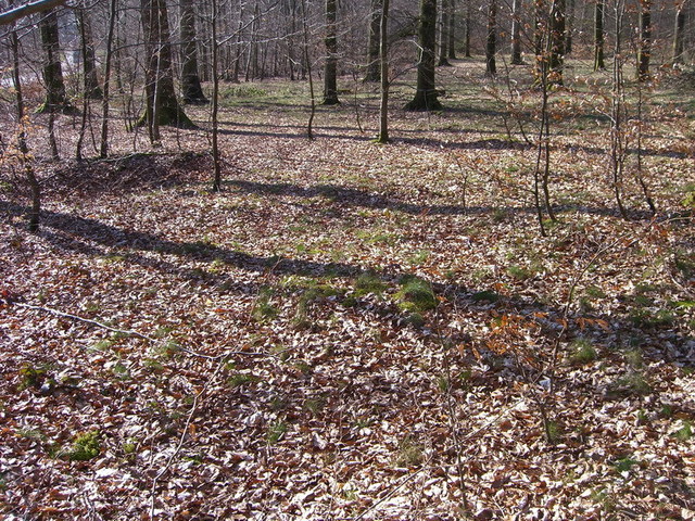 View to the point / Blick zum Confluence Punkt