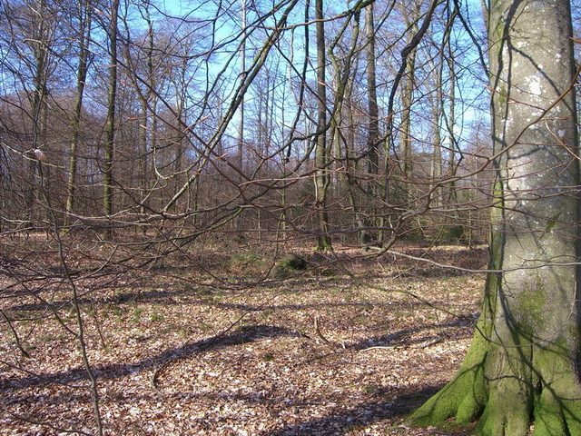 View north / Blick nach Norden