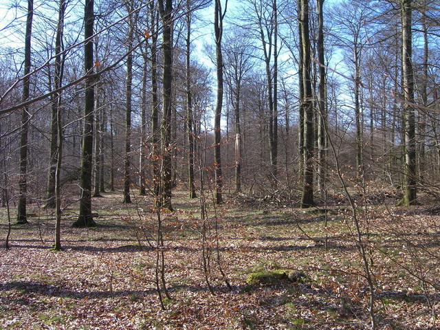 View west / Blick nach Westen