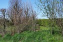 #2: General view of the confluence (towards NW)