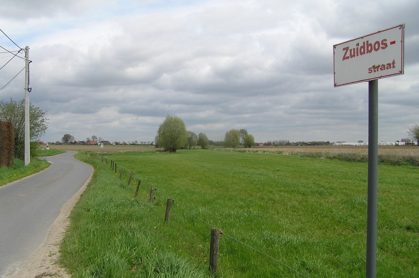 Looking northeast from 20 meters southeast of the confluence point.