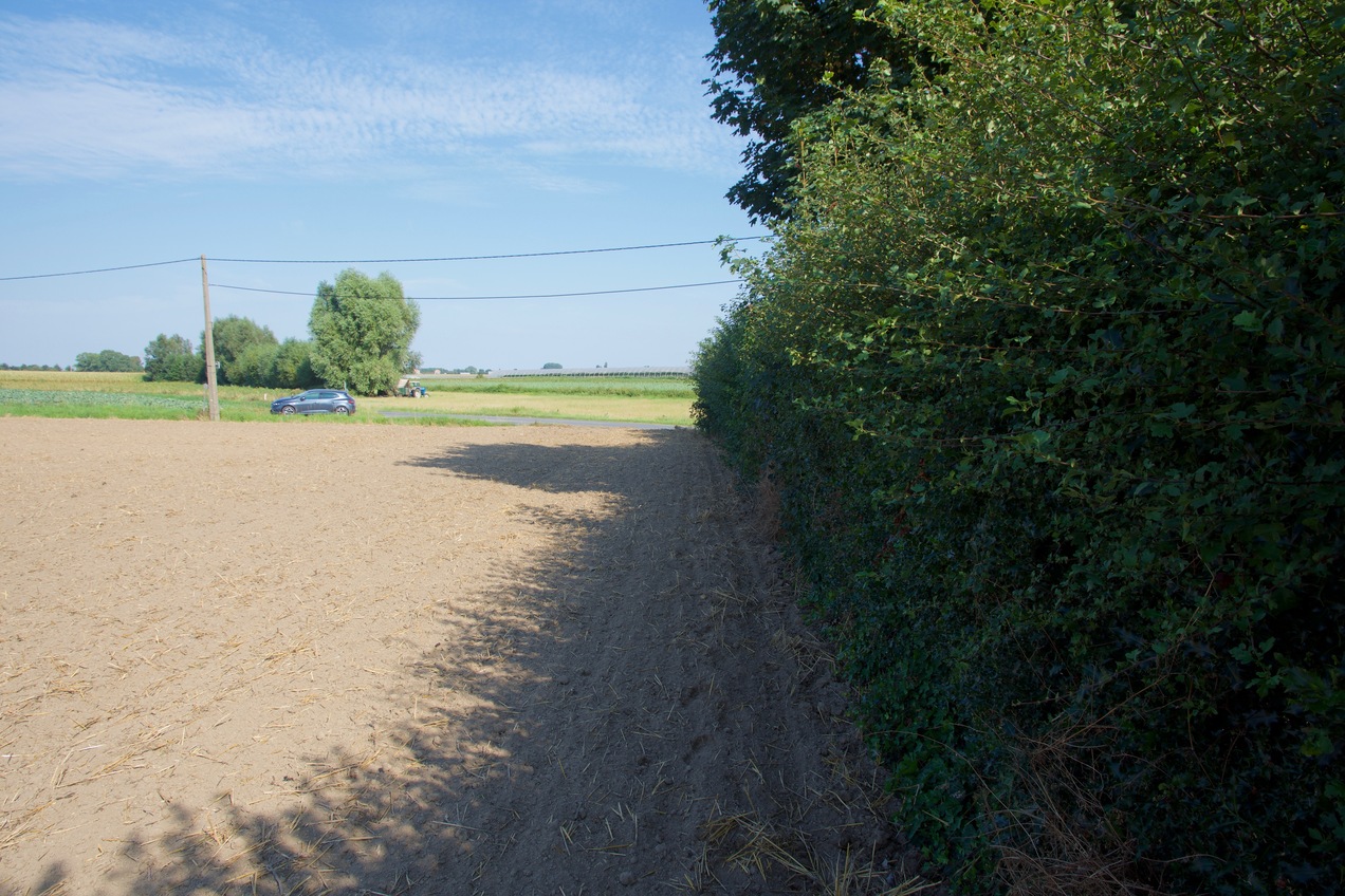 View East (from just outside the hedge, 4m North of the point) 