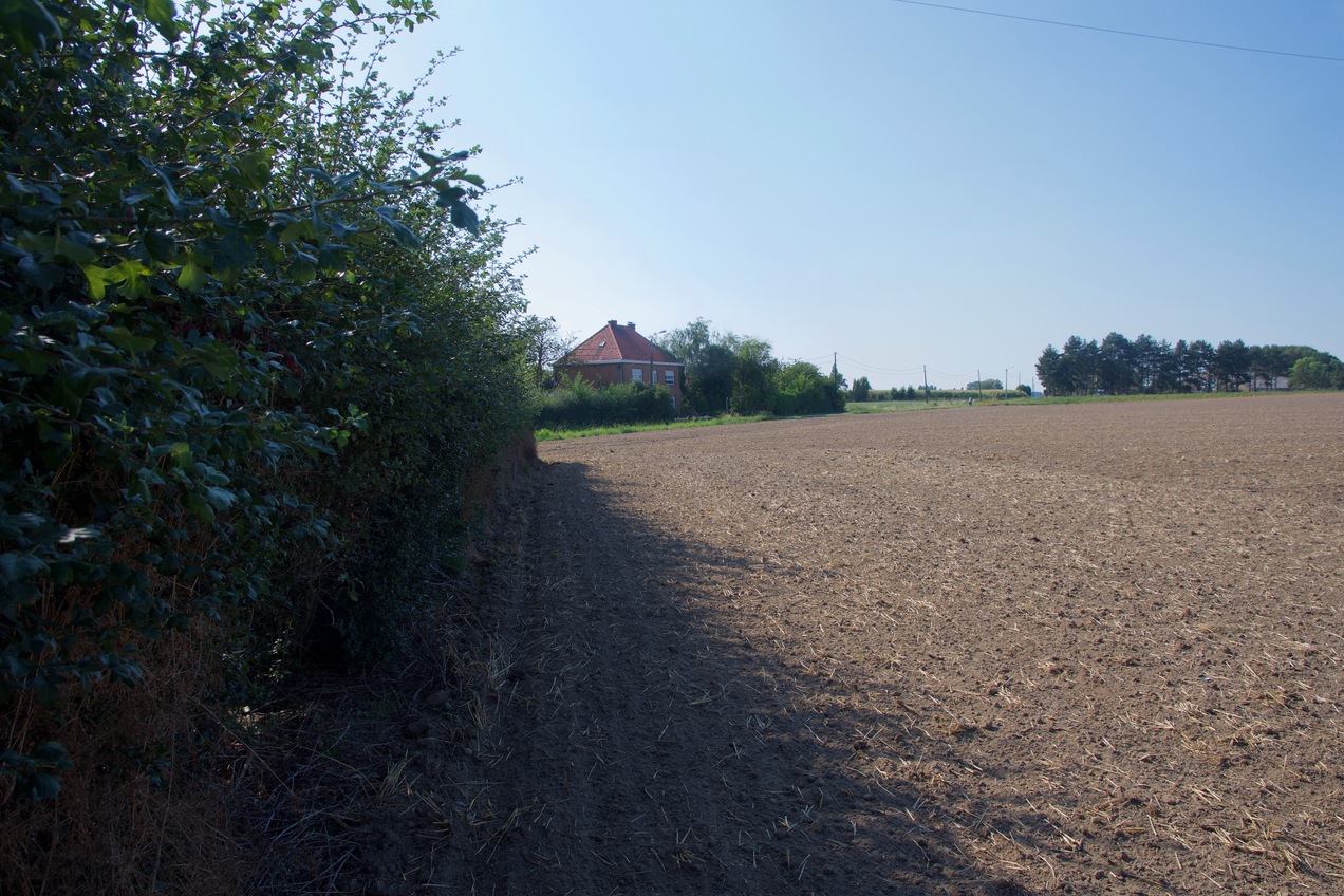 View West (from just outside the hedge, 4m North of the point) 