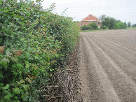#4: Westen; view west