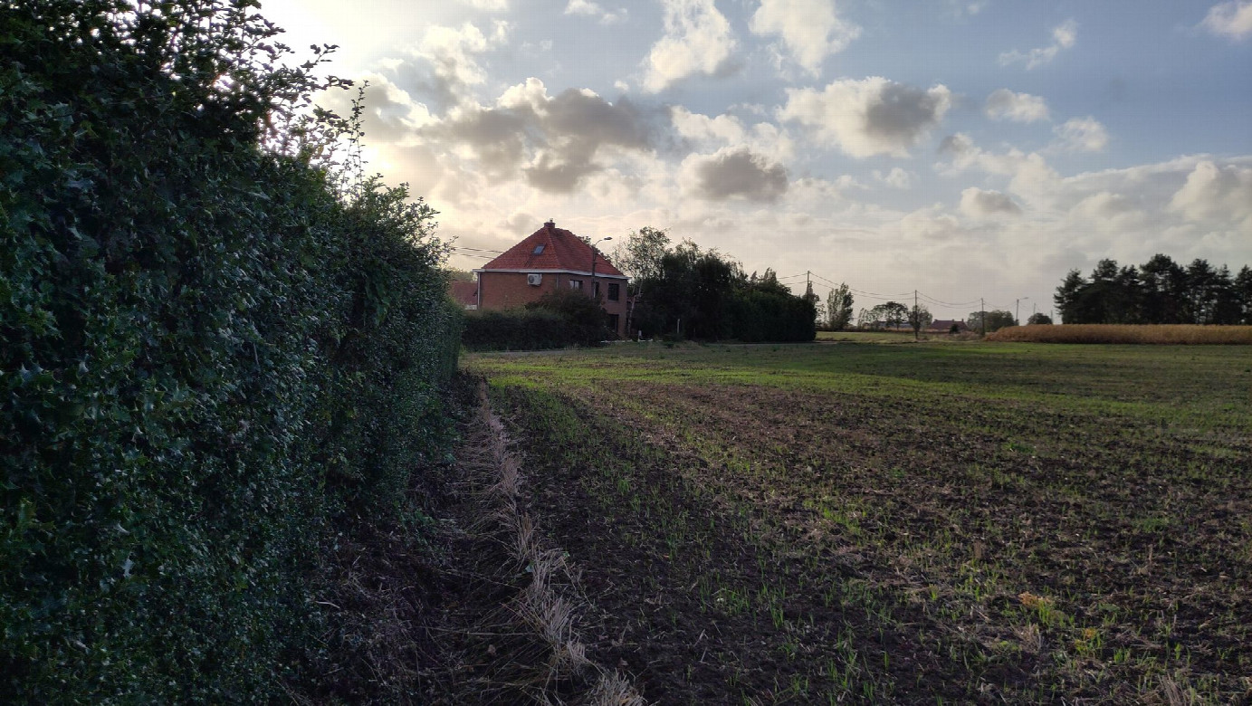 view to the west