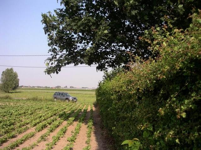 South