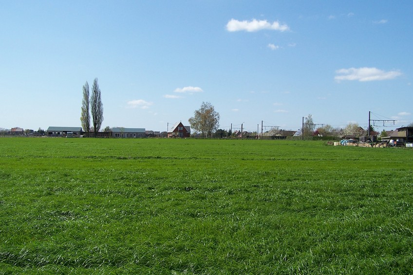 View towards W from the confluence