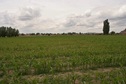 #4: View to the West