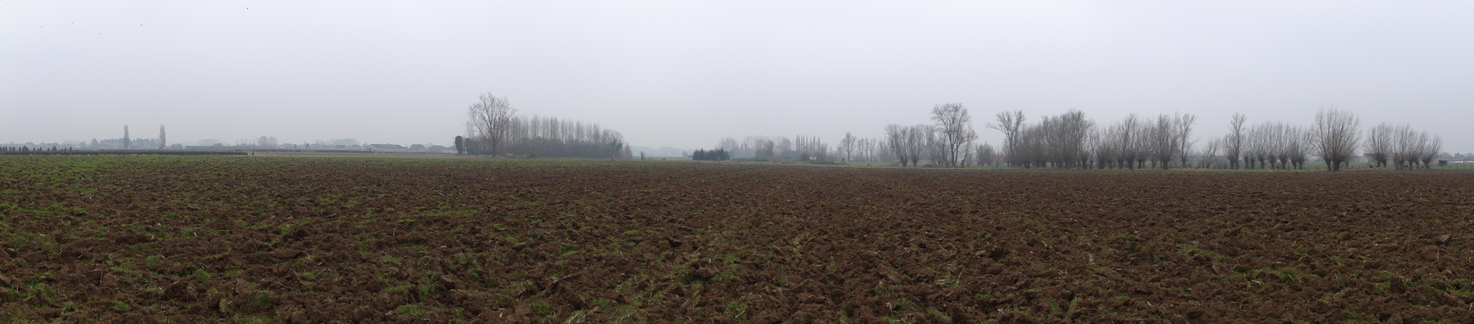 ESW panoramic view from the point