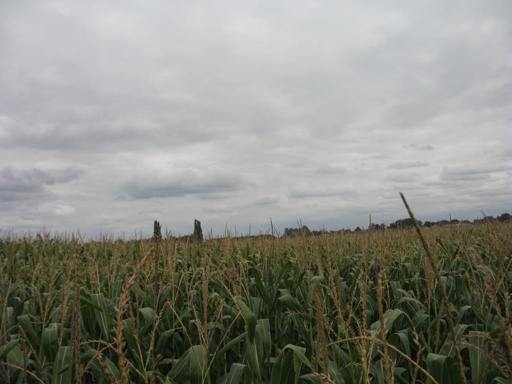 Osten; view east