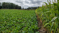 #4: view to the south