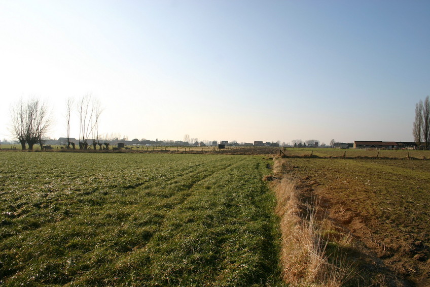 View to the West