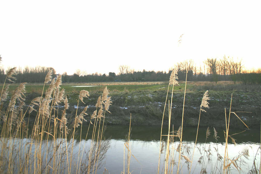 View of the Confluence from the other side of the canal