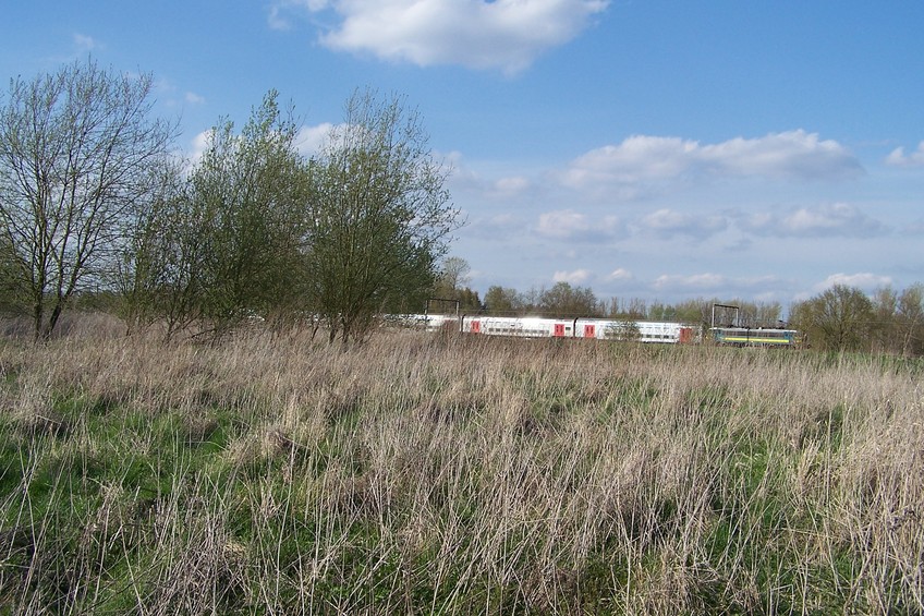 General view of the confluence (towards N)