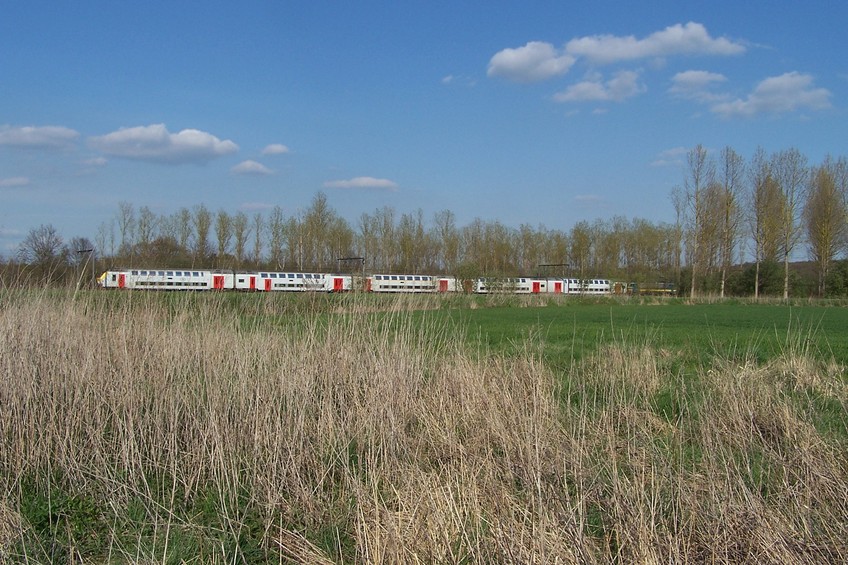 View towards NE from the confluence