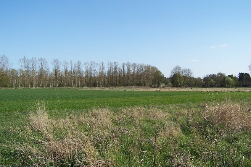 View towards E from the confluence