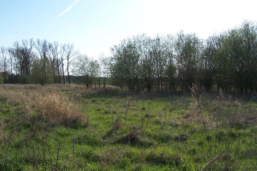 View towards S from the confluence