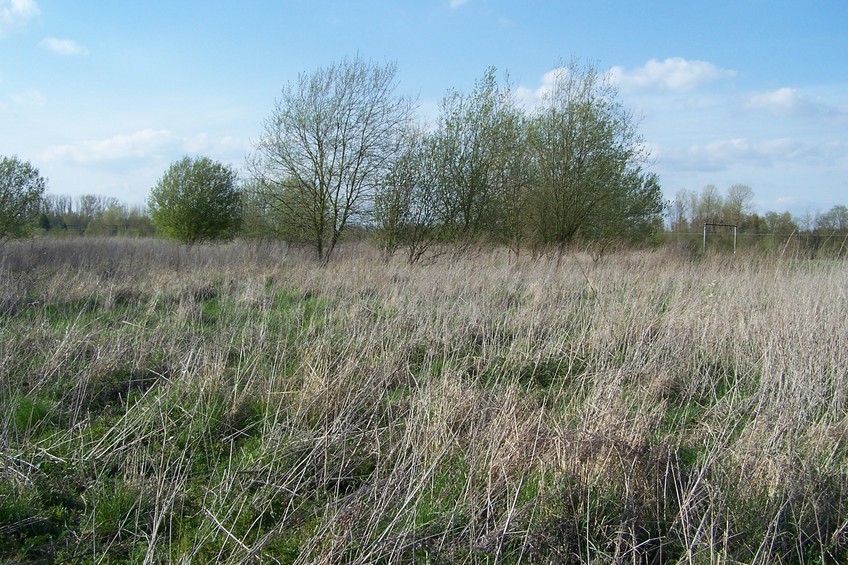 View towards W from the confluence