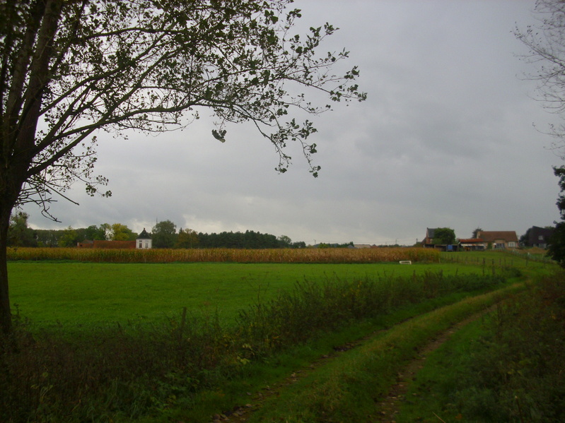 First houses of Zichem on the Steenweg Diest