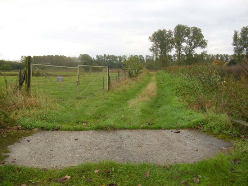 Fenced area with a stonebridge in the foregound