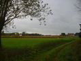 #10: First houses of Zichem on the Steenweg Diest