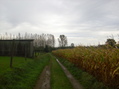 #8: Maize field and paddock