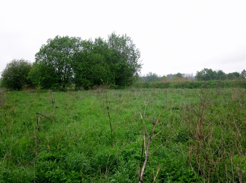 The point and view to the North. The river is just behind the trees