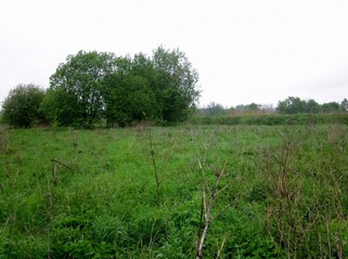 #1: The point and view to the North. The river is just behind the trees