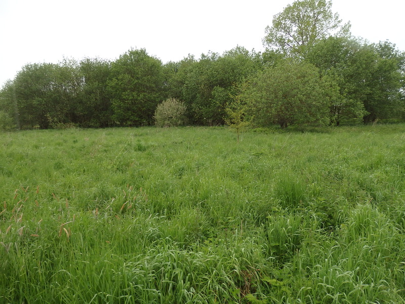 The Confluence from 20 m distance