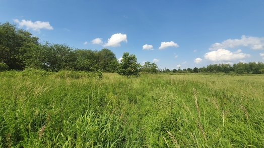 #1: The Confluence Point from a distance of 20 m