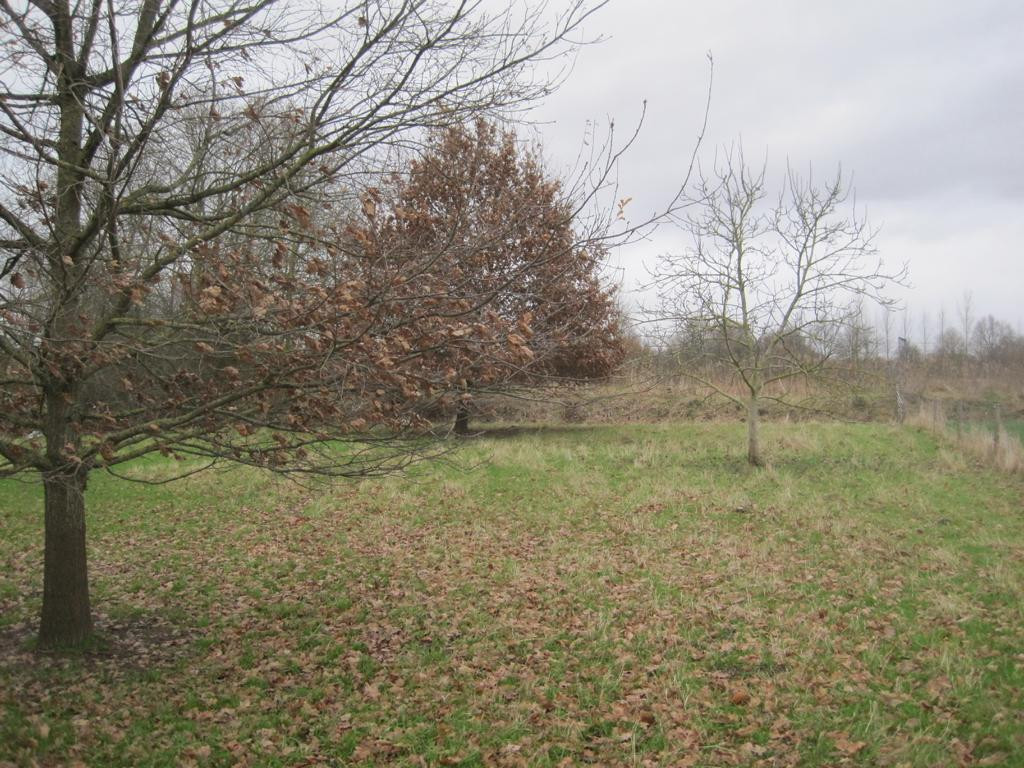 Süden; view south