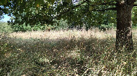 #2: view to the north