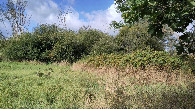 #5: view to the west