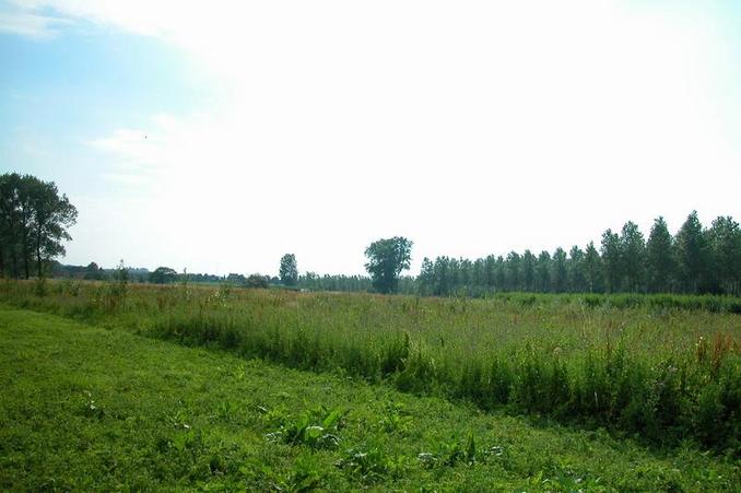 View from the confluence / Blick vom Confluence Punkt